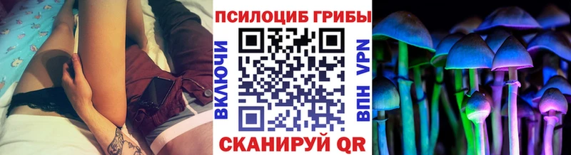 Галлюциногенные грибы ЛСД Купить Инза